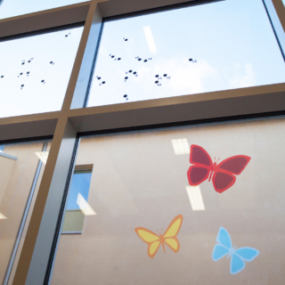 Three giant join the dots butterflies painted on an external wall viewed through a window