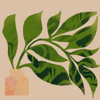 An illustration of a cheese plant