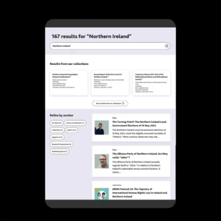 This screengrab shows the resulst of a search for Northern Ireland on the RIA website.
