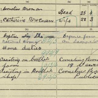Close-up of the 1926 census return for Cornelius Brosnan, listing his occupation as Captain in the National Army, alongside the entry for Catherine Brosnan, listed as wife.