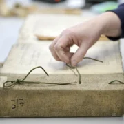 A National Archives conservator carefully untying the green laces from a bound volume of 1926 census forms, labelled Cavan, prior to digitisation.