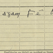 1926 Irish census form for Máire Nic Shuibhne (Mary MacSwiney), completed in Irish lettering, with a defiant inscription at the bottom stating the information is given under the authority of the Republic rather than the Free State.