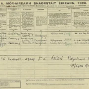 1926 Irish census form for Máire Nic Shuibhne (Mary MacSwiney), completed in Irish. Her elegant Irish-style handwriting is visible throughout, with a defiant inscription at the bottom stating the information is given under the authority of the Republic rather than the Free State.