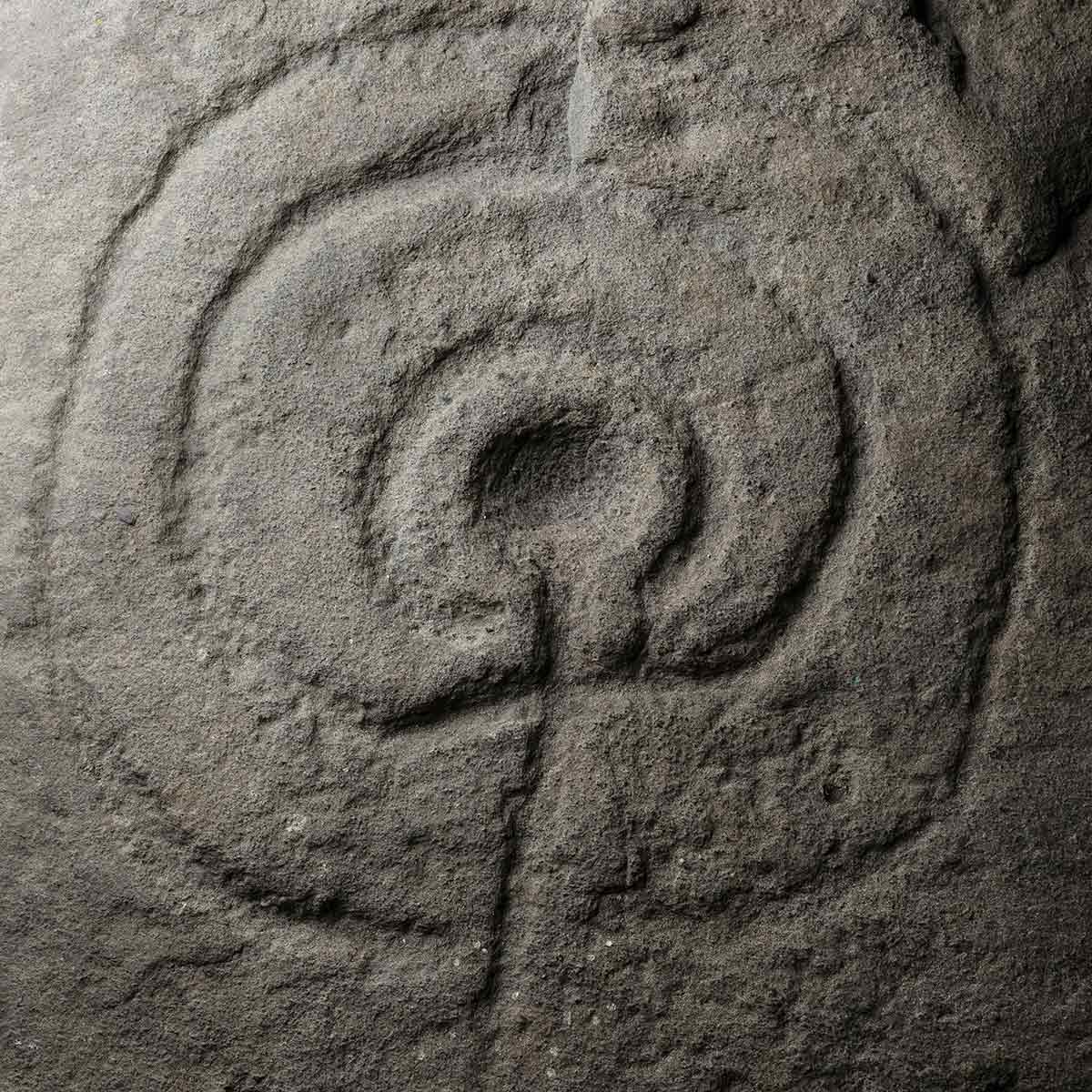 Detail of Rock Art from Músaem Chorca Dhuibhne